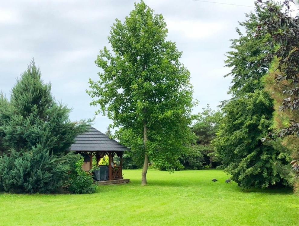 Apartmanove Ubytovanie Pod Dubom Polny Kesov エクステリア 写真